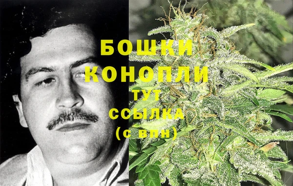 гидра Богородицк
