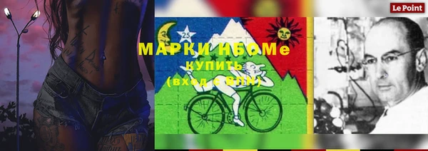 гидра Богородицк
