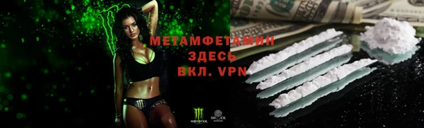 гидра Богородицк