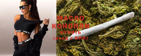 гидра Богородицк