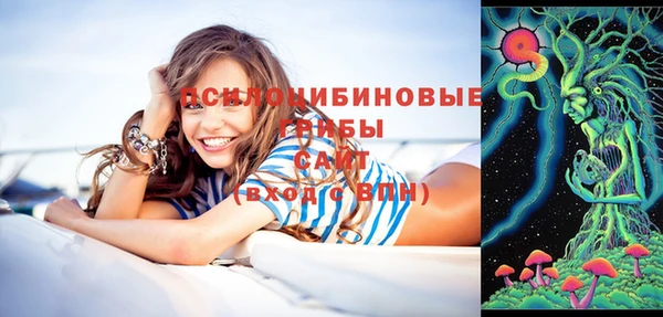 гидра Богородицк