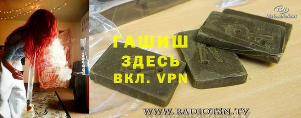 гидра Богородицк