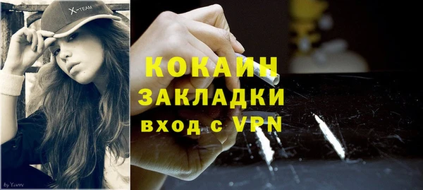 гидра Богородицк