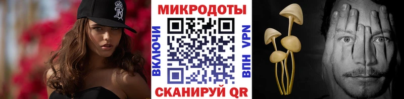 Купить закладки  Навашино  Псилоцибиновые грибы GOLDEN TEACHER 